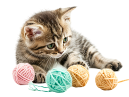Cute kitten playing with yarn balls, isolated against a transparent background png