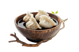 Dumplings with soya sauce on a branch, isolated against a transparent background png