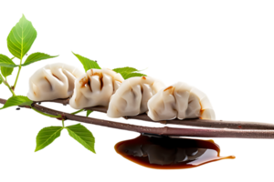 Dumplings with soya sauce on a branch, isolated against a transparent background png