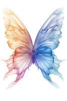 Fairy wings, isolated against a transparent background png