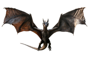 flying dragon from the front view, isolated against a transparent background png