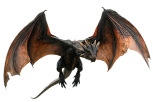 flying dragon from the front view, isolated against a transparent background png