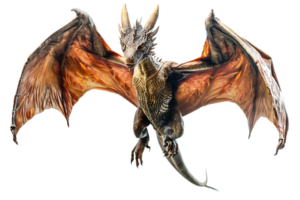 flying dragon from the front view, isolated against a transparent background png