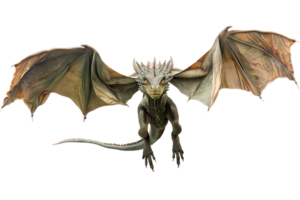 flying dragon from the front view, isolated against a transparent background png