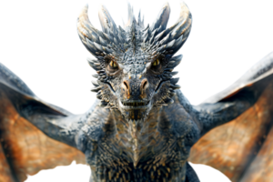 flying dragon from the front view, isolated against a transparent background png