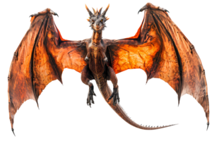 flying dragon from the front view, isolated against a transparent background png