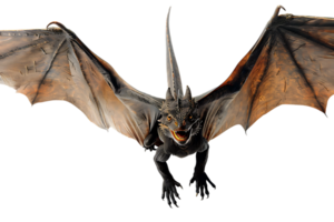 flying dragon from the front view, isolated against a transparent background png