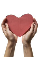 hands holding a paper heart, isolated against a transparent background png