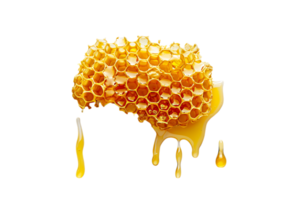Honeycomb melting, isolated on transparent background png