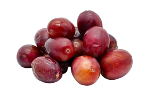 Pile of dates fruit, isolated against a transparent background png