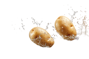 Two flying potatoes with water splash, isolated against a transparent background png