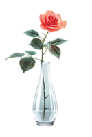 rose in a vase isolated against a transparent background png