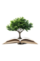 Tree emerging into an open book, isolated against a transparent background png