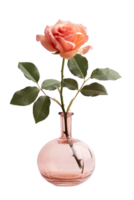 rose in a vase isolated against a transparent background png