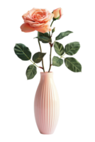 rose in a vase isolated against a transparent background png