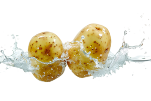 Two flying potatoes with water splash, isolated against a transparent background png