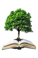 Tree emerging into an open book, isolated against a transparent background png
