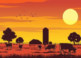 Silhouette design of farm while cows eating the grass on sunset time vector