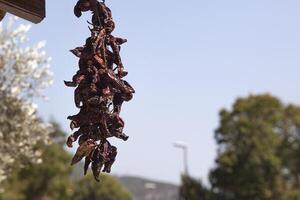 Dried chilli peppers hang in a bunch against a mountain and blue sky. The dried spicy ingredients dry in the sun. Horizontal. High quality photo