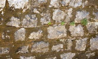 Antique grey old brick wall. Texture. For text photo