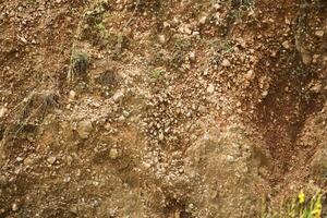 Red rock texture. Background. For text. For banner. Horizontal photo