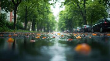 Raindrops fall on a wet street covered with vibrant fallen leaves photo