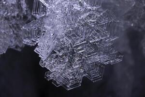Crop Group of Abstract Giant Frost Crystal Clear Snowflakes with Winter Patterns Cold Shaded highlighted black dark background. Ice petals cover lights in background in blurred focus with copy space photo