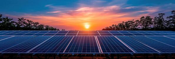 Rows of solar panels collect energy as the sun sets behind a line of trees photo