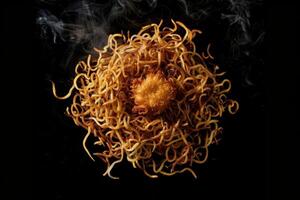 Steaming Noodles with a Crispy Topping photo