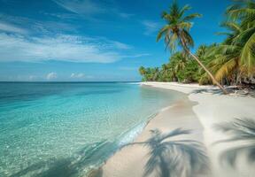 A tranquil beach with soft white sand and clear blue waters, palm trees swaying in the gentle breeze photo