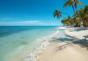 A tranquil beach with soft white sand and clear blue waters, palm trees swaying in the gentle breeze photo