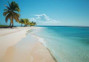 A tranquil beach with soft white sand and clear blue waters, palm trees swaying in the gentle breeze photo