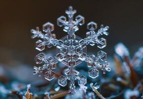Extreme close-up macro photography of the intricate pattern of a snowflake photo