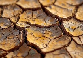 Extreme close-up macro photography of the detailed pattern of cracked dry mud photo