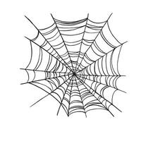 spider web line, hand drawn traditional Halloween decorative element, black and white illustration of cobweb, insects wild life on white background, monochrome sketch vector