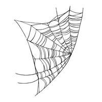 spider web line, hand drawn traditional Halloween decorative element, black and white illustration of cobweb, insects wild life on white background, monochrome sketch vector