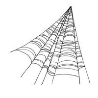 spider web line, hand drawn traditional Halloween decorative element, black and white illustration of cobweb, insects wild life on white background, monochrome sketch vector