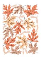 Vintage botanical mid century poster or art print with maple leaves and seeds. Hippie 60s, 70s style. Isolated leaves with maple key in nostalgic style vector