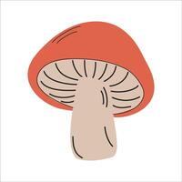 Mushroom illustration. Isolated on a white background. vector