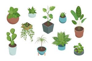 Cartoon Color House Plants Set 3d Isometric View. vector