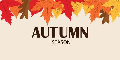 Autumn season banner with colorful falling leaves border. Modern colorful design. Template for advertising, web, social media. vector
