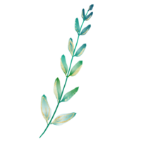 Watercolor Green and Gold Branch with Leaves on a Transparent Background png