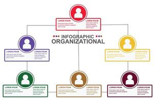 template infographic organization of a company team from chairman to members, order of members from top to bottom vector