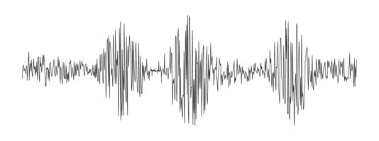 Seismogram or lie detector graph. Ground motion, sound or pulse record wave. Polygraph or seismograph diagram isolated on white background. vector
