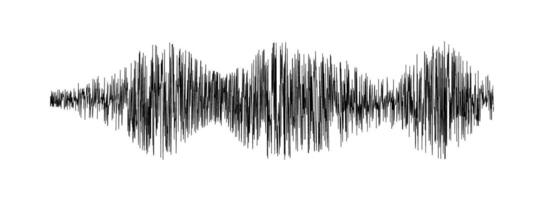 Seismogram or lie detector graph. Earthquake episode. Earth ground motion, sound or pulse record wave. Polygraph or seismograph diagram isolated on white background. vector