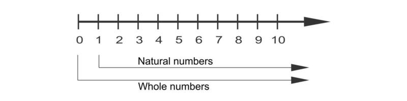 Positive and negative integers on number line. Whole numbers and zero. Math chart for definition of inequality between two numbers in school isolated on white background. vector