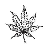 Cannabis Leaf Silhouette on White Background.Cannabis leaf black on white background vector