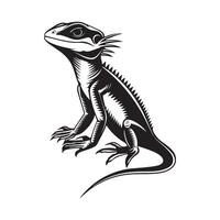 Lizard drawing Stock design. Illustration of a Lizard isolated on white vector