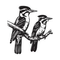 Two Cardinal On Branch Images. illustration of a Cardinal Bird isolated on white vector