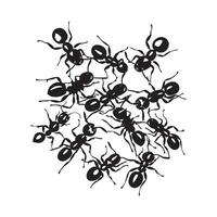 Colony ants on a white background insect pests design Image vector
